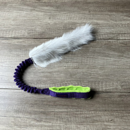 Classik koza