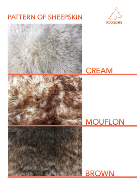 Long FootBall M (Jw Pet)