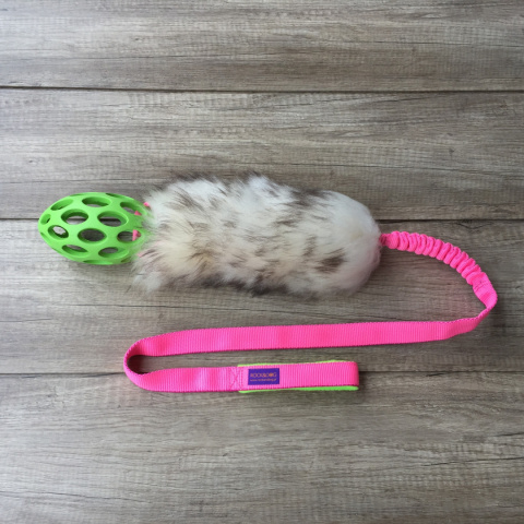 Long FootBall M (Jw Pet)