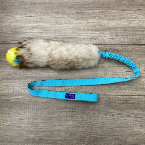 Long Tennis (Planet Dog)