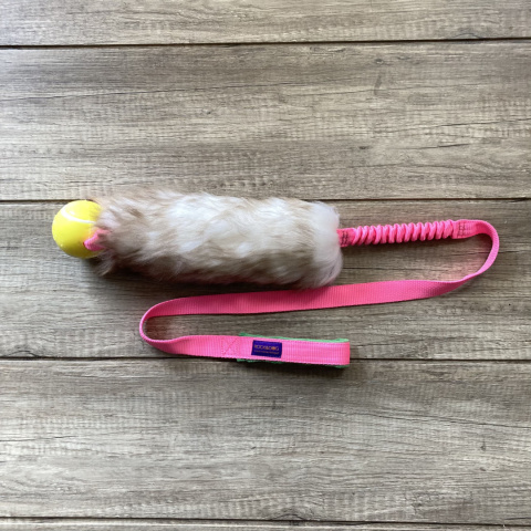 Long Tennis (Planet Dog)