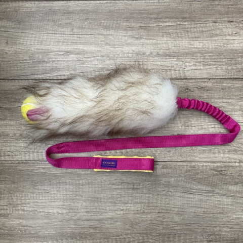 Long Tennis (Planet Dog)