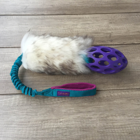 Punk Football M (Jw Pet) Punk Football M (Jw Pet)