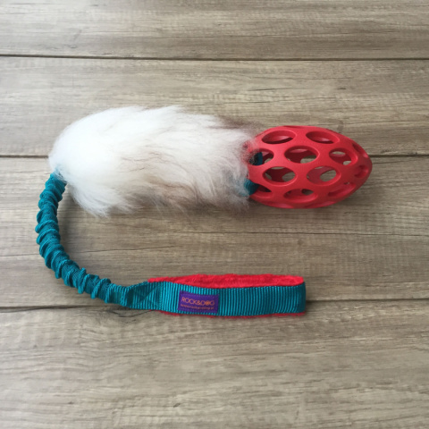 Punk Football M (Jw Pet) Punk Football M (Jw Pet)