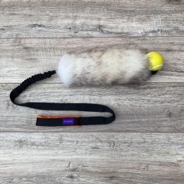 Long Rock Tennis Planet Dog