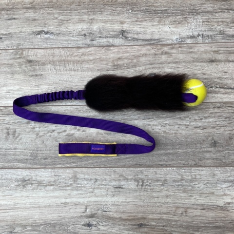 Long Rock Tennis Planet Dog