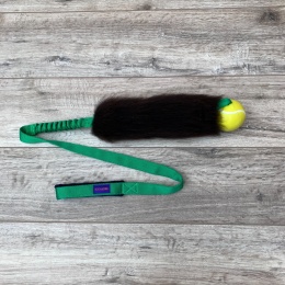 Long Rock Tennis Planet Dog