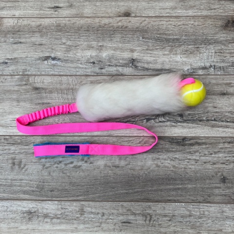 Long Rock Tennis Planet Dog