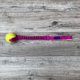 Simple Tenis Planet Dog