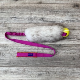 Long Rock Tennis Planet Dog